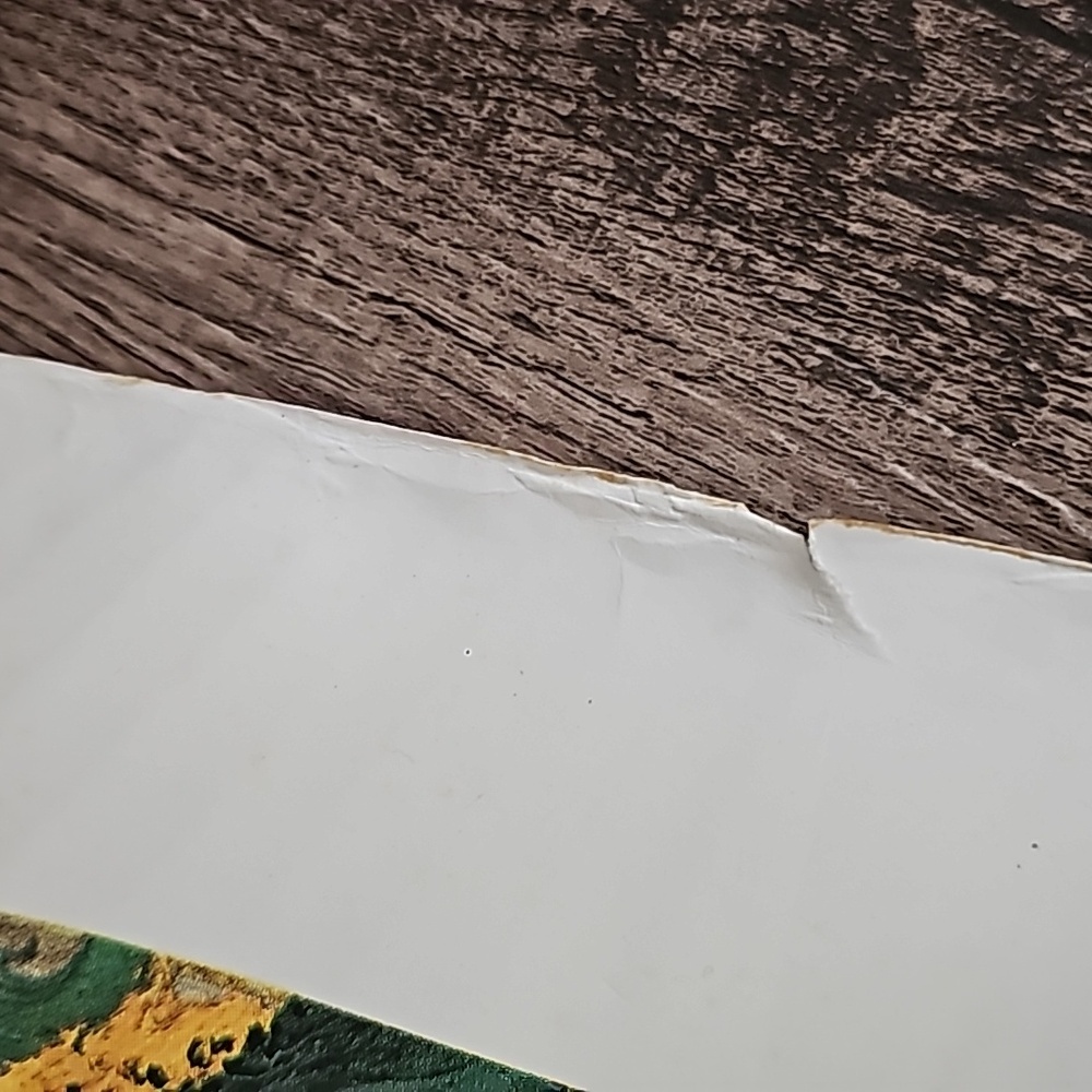 VTG Museum Print GIRL BEFORE A MIRROR by Pablo Picasso Printed in the U.S.A 1988 - Picture 11 of 14